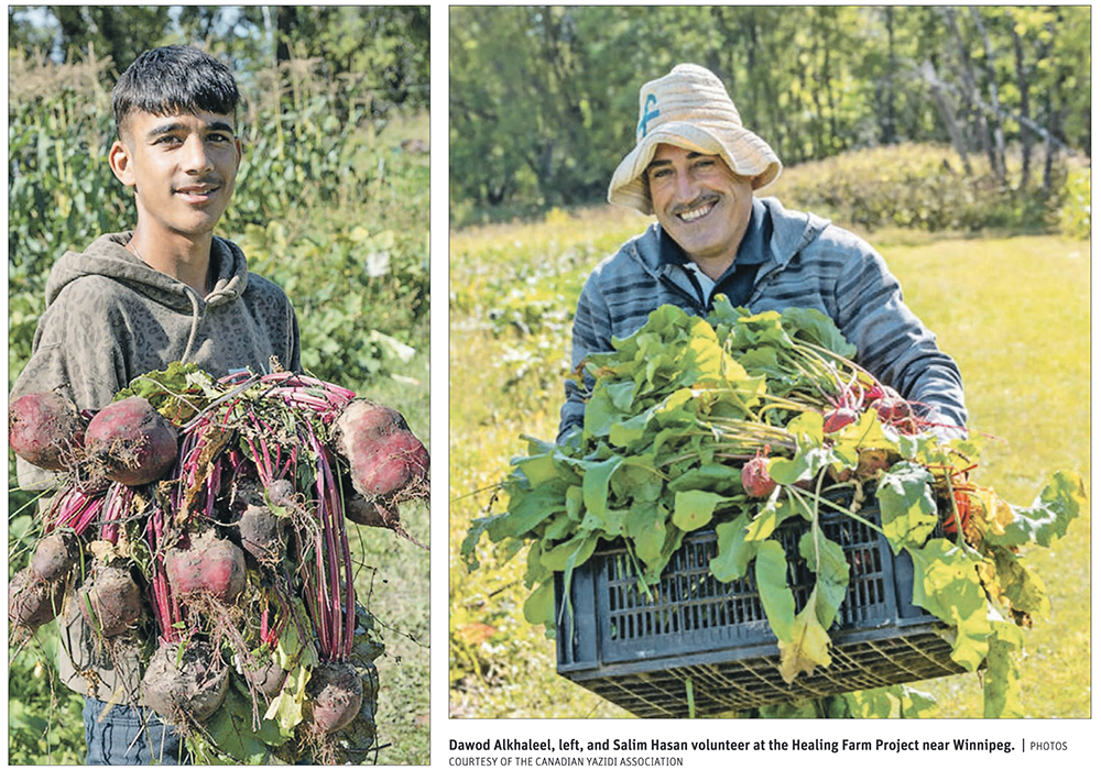 Healing grows along with vegetables