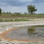 The Beef Cattle Research Council said in 2019 that less than half of farmers test their livestock water. Doing so is particularly important in a dry year when water levels are low. | Robert Arnason photo