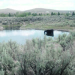 If cattle are allowed access to depleted ponds or dugouts, they may damage them or pollute what little bit of water is left. | Heather Smith Thomas photo