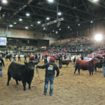Farmfair International is expected to be held Nov. 10-14 this year after being cancelled last year due to the COVID-19 pandemic. | File photo