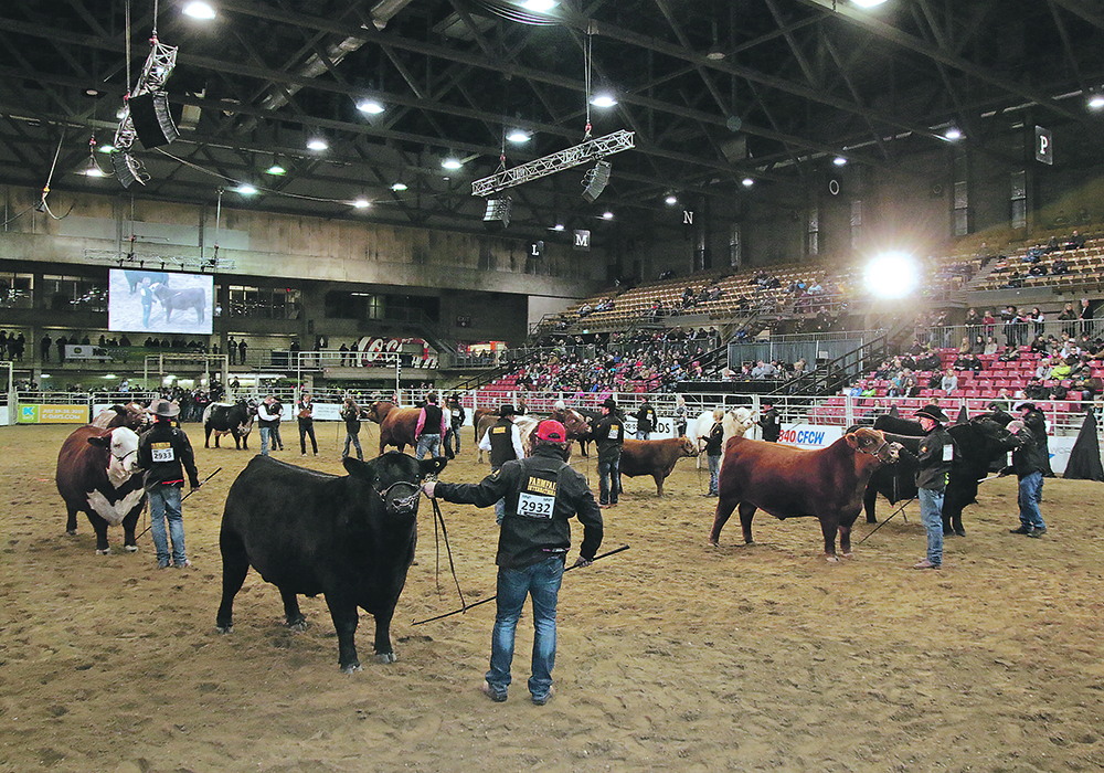Farmfair International is expected to be held Nov. 10-14 this year after being cancelled last year due to the COVID-19 pandemic. | File photo