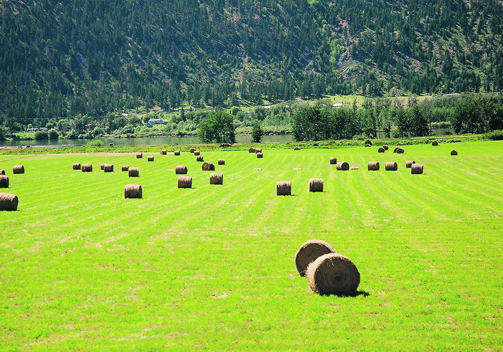 The Institute for Sustainable Food Systems’ Okanagan Bioregion Food System report says the region has some of the highest quality farmland in the province. | File photo