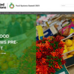Farmers in Canada should expect more green policies will head their way following the UN Food Systems Summit. | Screencap via un.org