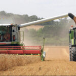 This year's yields in the 27-member bloc were now expected to be well above five-year averages for all winter cereals as well as rapeseed, the European Union's crop monitoring unit, MARS, said. | File photo