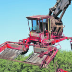 Duane Shelstad of Sylvan Lake, Alta., makes short work of a Versatile swather. | Mary MacArthur photo