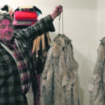 Neil Kimmy of Millet, Alta., holds a bundle of Canadian lynx furs. He said the money he earned from trapping made a down payment on his farm. | Mary MacArthur photo