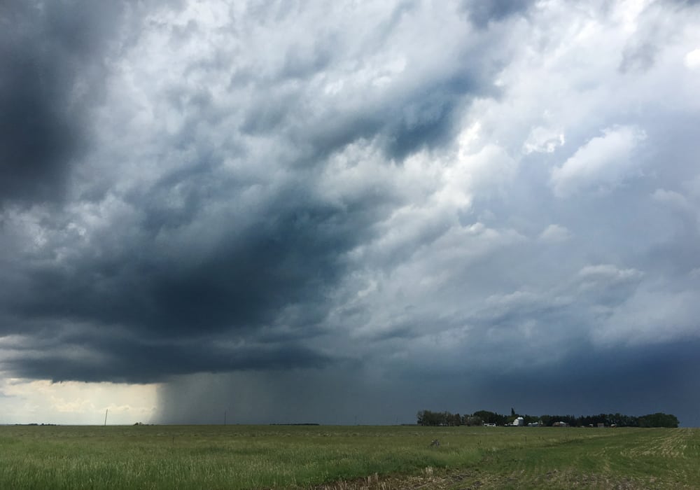 MFGA chair Larry Wegner says, "the golden rule should be: don't let precipitation run away on you. Hold it and catch it on your land." | File photo