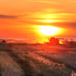 Exemptions and opportunities in the output-based market mean agriculture is sheltered from the full cost of carbon pricing, relative to negatively impacted industries. | Mike Raine photo