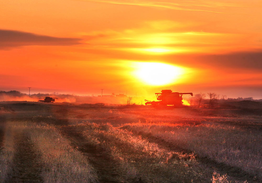 Exemptions and opportunities in the output-based market mean agriculture is sheltered from the full cost of carbon pricing, relative to negatively impacted industries.  |  Mike Raine photo