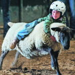 Austin Ramsey of Cayley, Alta., shows determination during the mutton bustin’ event. | Mike Sturk photo