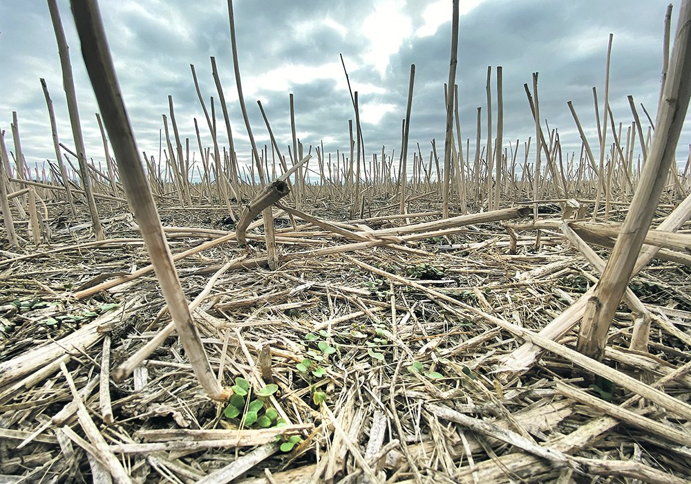 Farmers moved increasingly toward less tillage for the last three decades. | File photo