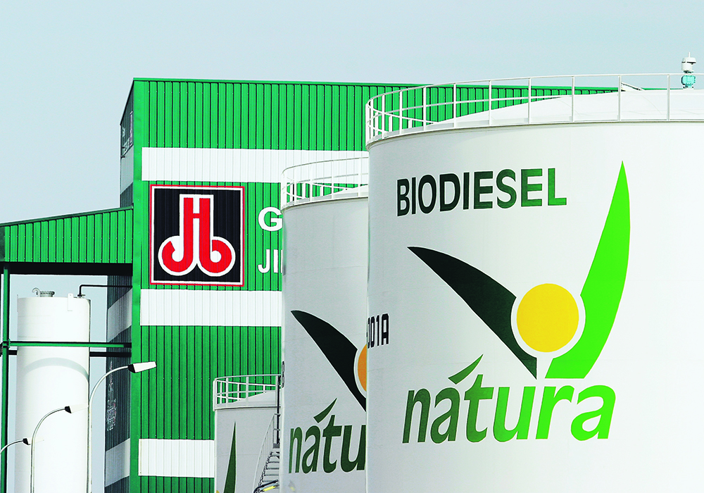 An anticipated increase in biodiesel production in the European Union would come at the same that canola production is expected to fall, which bodes well for Canadian exports to the bloc. | Reuters/Susana Vera photo