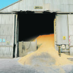 Mexico’s National Farm Council recently said the Mexican government is holding up import permits on genetically modified corn even though the ban is not supposed to take effect for another three years. | Reuters/Henry Romero photo