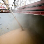 China suddenly imported 10.5 million tonnes of wheat in 2020-21, doubling the previous year's total. | Reuters photo
