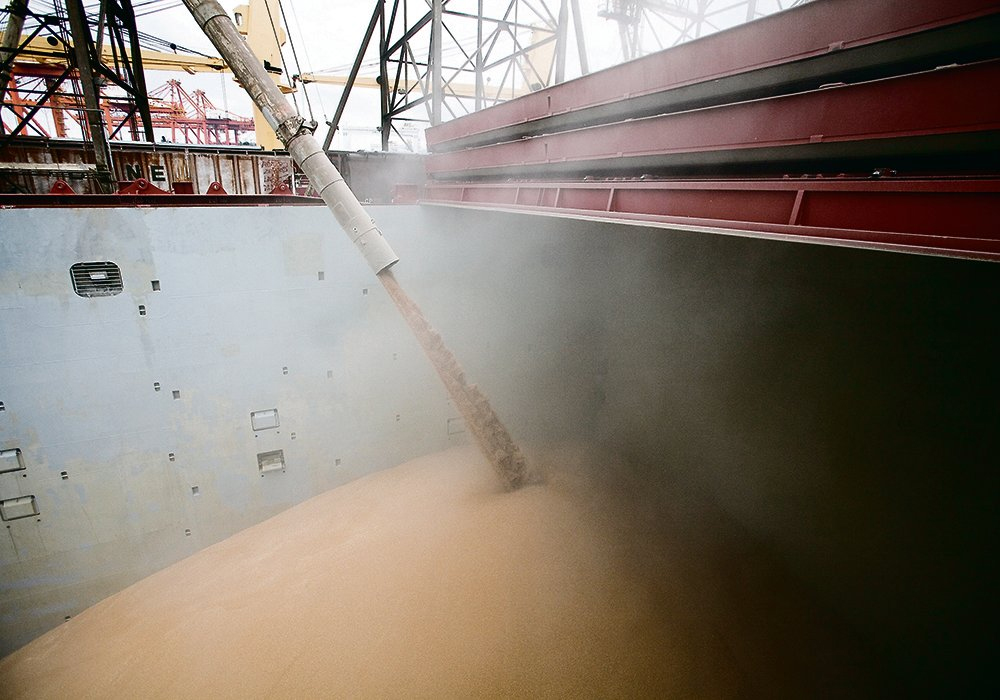 China suddenly imported 10.5 million tonnes of wheat in 2020-21, doubling the previous year's total. | Reuters photo