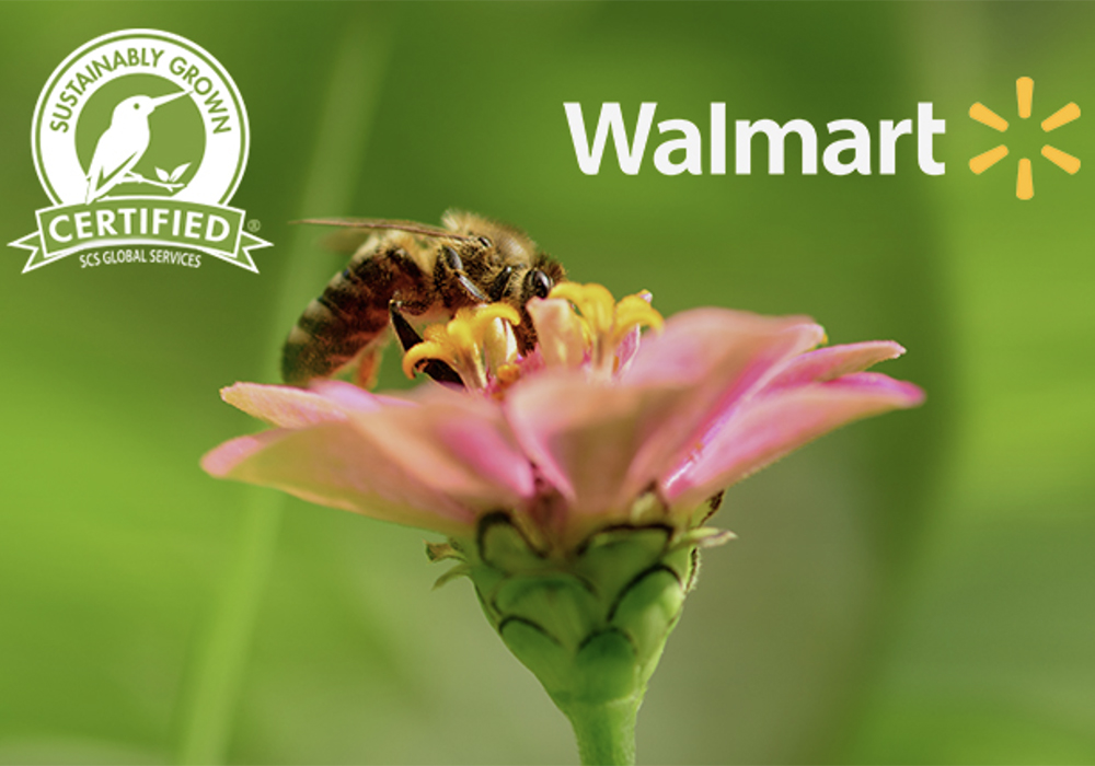 Walmart Canada made the announcement June 25, saying the policy will protect pollinators and improve biodiversity. | Screencap via Twitter/@3BLNews