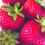 Strawberries are a summer taste sensation. | Jodie Mirosovsky photo