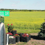 Dr. Alfred Schmitz Shadd’s legacy can still be seen in Melfort, such as this street that is named after him. | Duane McCartney photo
