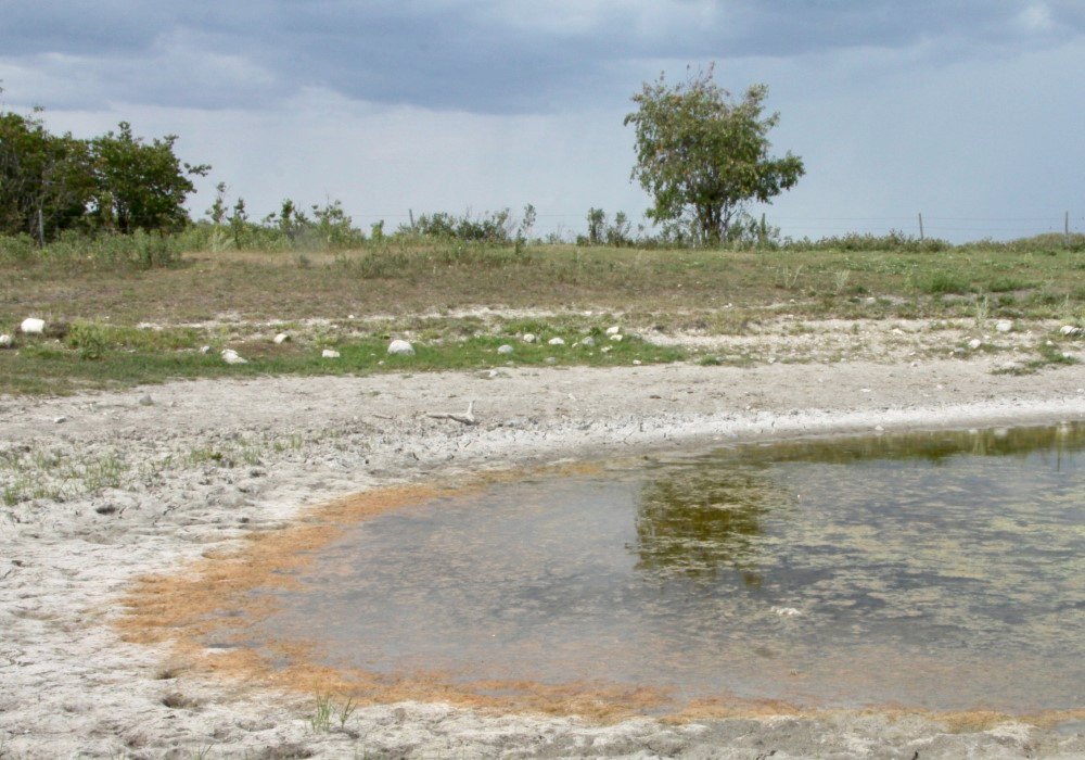 It had already been a dry spring and early summer for most of the West. Some crops are now crispy and livestock water sources are drying up.  | File photo