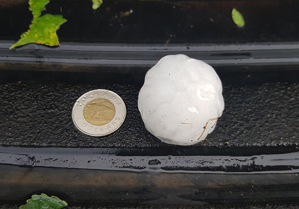 Hail the size of golf balls, or about 4.5 centimetres across, fell in Central Butte, Mankota and Scout Lake, while toonie to ping-pong ball sized hail was recorded east of Strasbourg and near Raymore. | Twitter/@UplandAllison photo