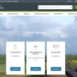 The new online services are available through the MyAlberta eServices portal, alongside other online registry services, such as one-year passenger vehicle registration renewals, birth certificate ordering and fine payments. | Screencap via alberta.ca