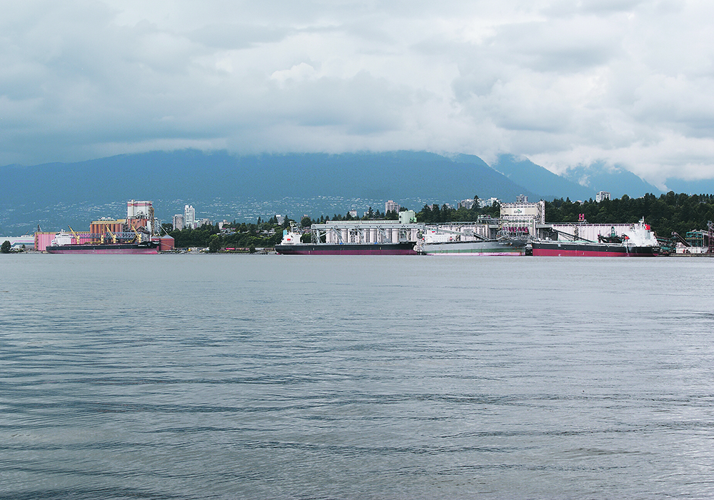 Canadian farmers says receiving more timely data on export sales would help level the playing field with producers in the United States, where such reporting is mandatory. | File photo