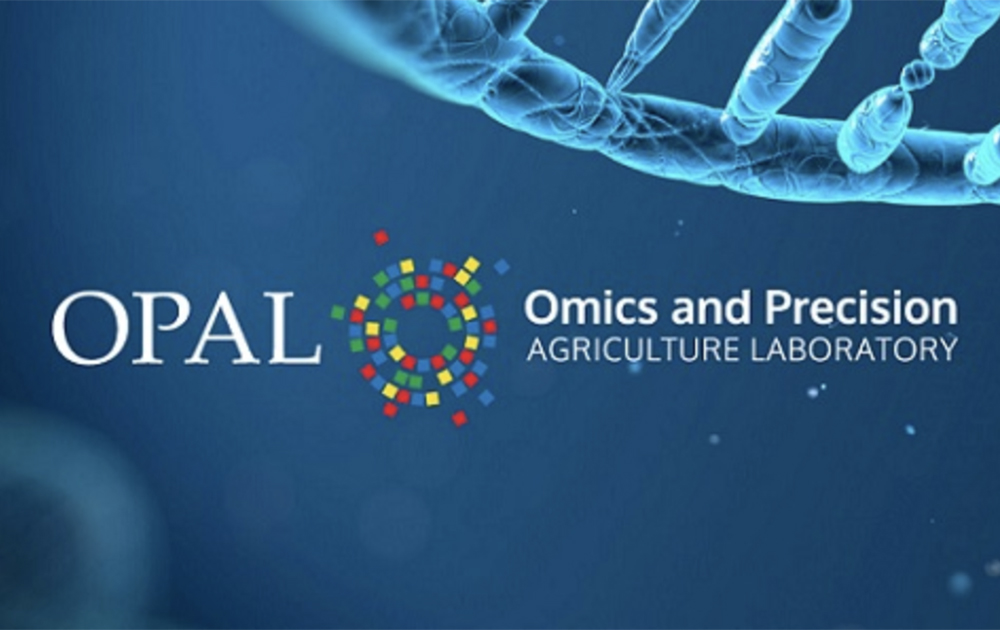 GIFS and several partners also this year launched the Omics and Precision Agriculture Lab, or OPAL, as one platform to help accelerate research and development and add scale. | Screencap via gifs.ca