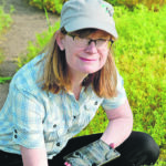 University of Saskatchewan dry bean and lentil breeder Kirsten Bett says this new navy bean stands taller and with higher pods, similar to CDC Blackstrap black beans. | Debra Marshall photo