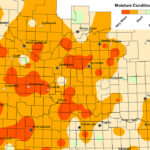 Topsoil moisture for Saskatchewan's cropland was rated as eight percent adequate, 39 percent short and 53 percent very short, the province's latest crop report said. | Government of Saskatchewan map