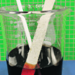 Denise Stilling, a researcher at the University of Regina, conducts an experiment as part of her research with decomposable straws. | Denise Stilling photo