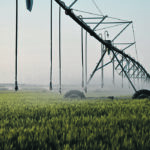 Producers who irrigate say this year shows the value of having access to water. | File photo