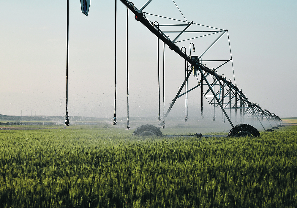 Producers who irrigate say this year shows the value of having access to water. | File photo