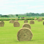 Interest in reviving the 2002 campaign that brought in much-needed feed supplies from Eastern Canada has been prompted by this year’s drought. | File photo