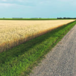If Western Canada grew mostly corn and soybeans, like some of the world’s major exporters, this drought wouldn’t have major implications. But we don’t. What happens here matters to many. | File photo