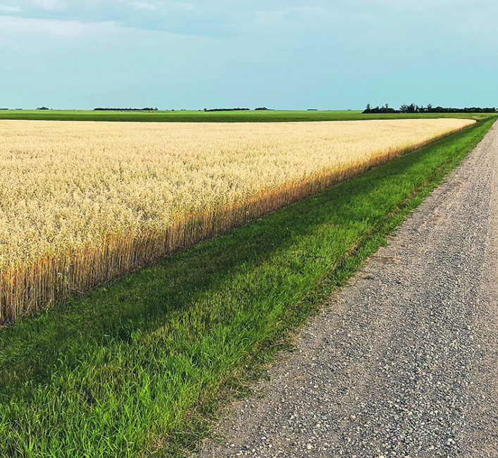 Drought creates unhappy learning experience for markets