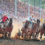 Racing in front of a full grandstand, Cody Ridsdale, left, driving the Paddle Prairie Metis Settlement wagon, and Chad Fike on the Sprung Structures wagon round the first bend after leaving the barrels in the second race of the night in the World Professional Chuckwagon Association’s Battle of the Foothills in High River, Alta., July 16-18. WPCA drivers were unable to compete at the Calgary Stampede this year due to safety concerns. | Mike Sturk photo
