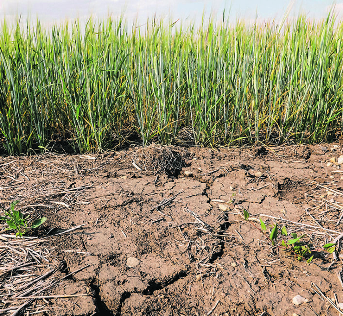 Contract squeeze worries farmers