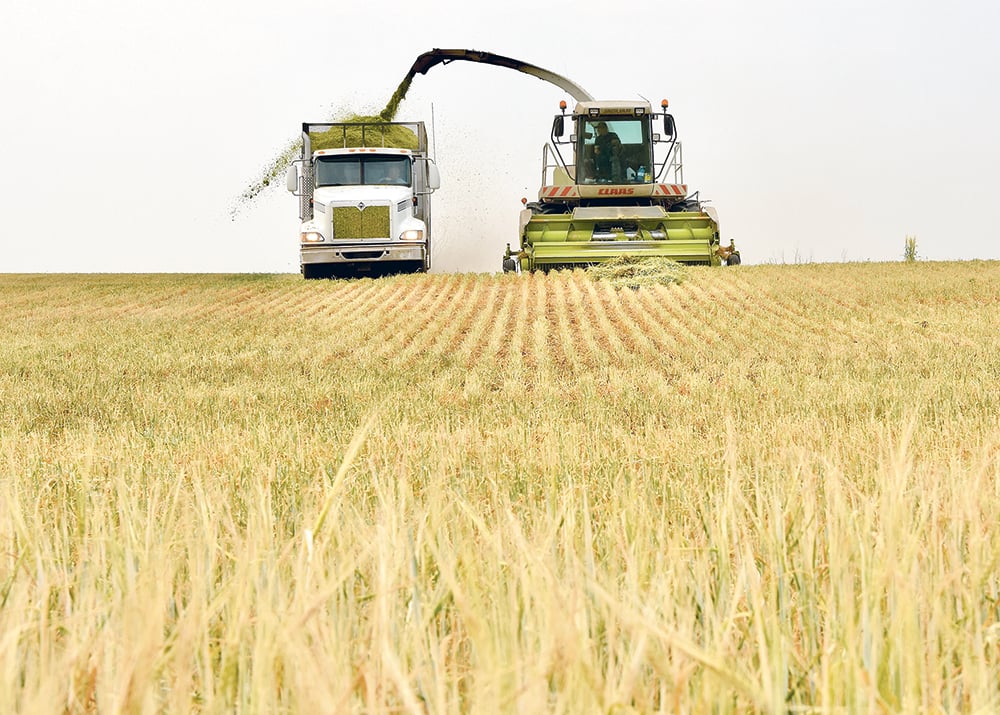 Producers call drought aid small first steps