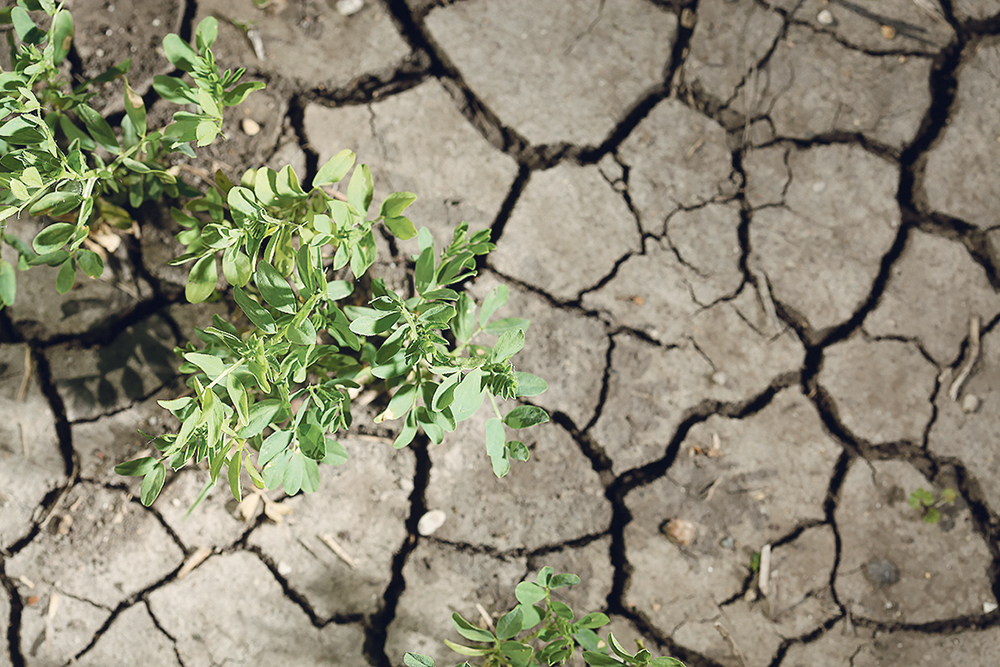 Many countries participating in the recent pre-summit discussed climate change as a concern when addressing delegates.  |  File photo