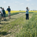 Lana Shaw shows participants an intercrop trial at the field day. Intercrops generally use less chemicals. | Photo by Melissa Bezan