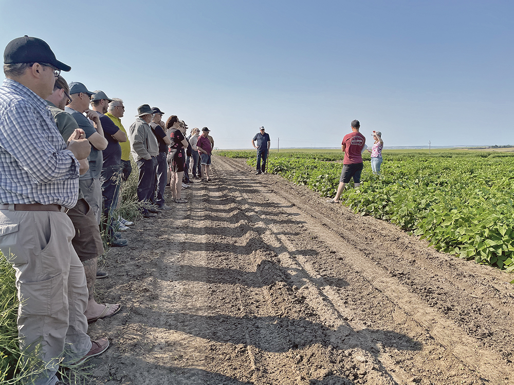 The Riverhurst Bean Festival started with a field tour to view new research being conducted with beans.  |  Melissa Bezan photo