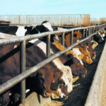 The plea could cause consternation in countries opting for natural gas as a cleaner alternative to CO2-belching coal. It also could pose challenges for countries where agriculture and livestock, especially cattle, are important industries. | File photo