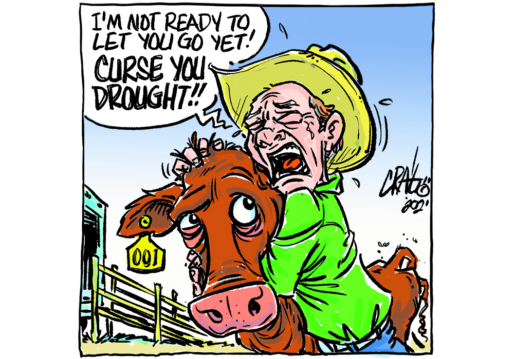 Cows will pull you through only if they’re still there