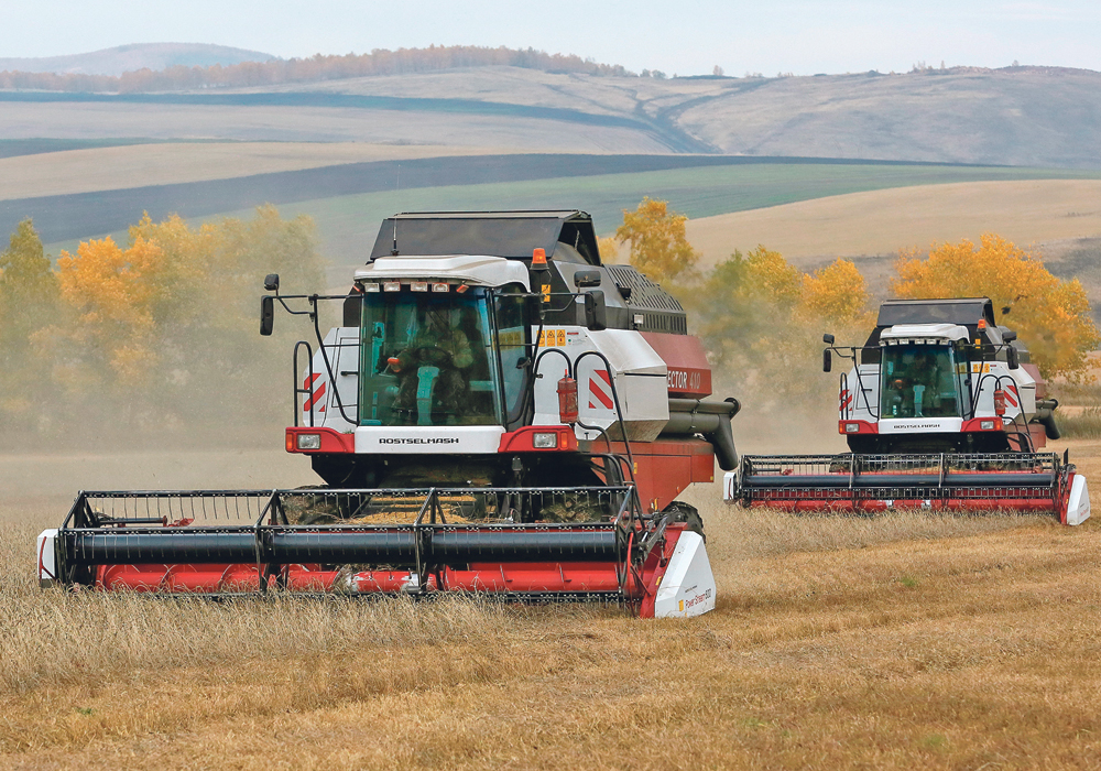 Russia is the world's largest wheat exporter, supplying it to Africa and the Middle East. It is currently harvesting its 2021 crop with lower yields than a year ago. | Reuters/Ilya Naymushin photo