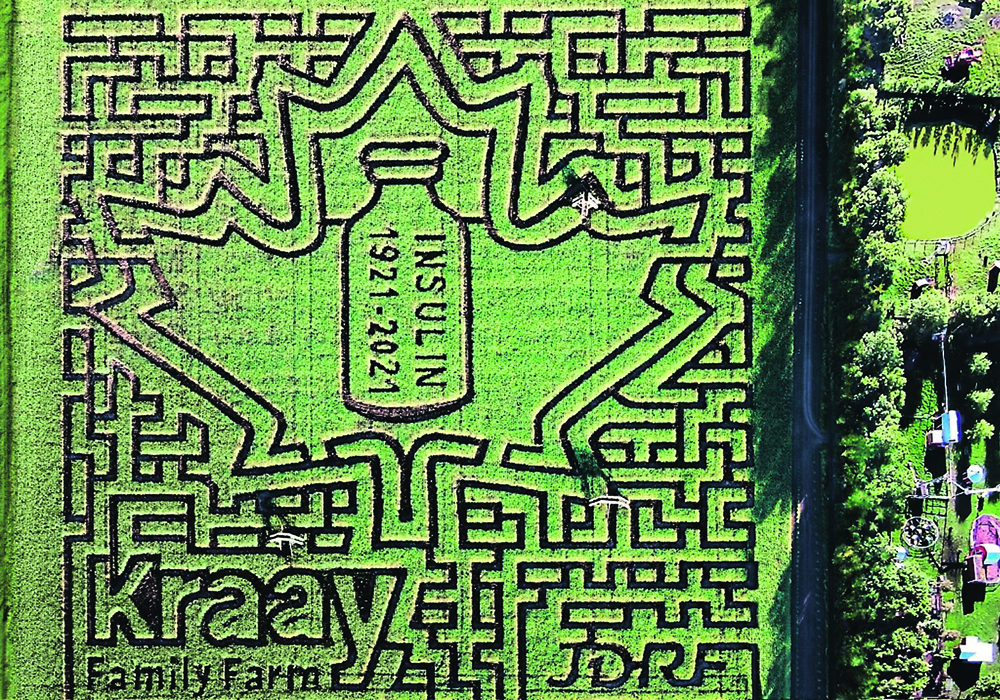 This summer the Kraay Family Farm is celebrating the centennial of the discovery of insulin by Canadians Fredrick Banting and Charles Best. The family has previously celebrated Terry Fox and Rick Hansen with maize mazes for their contributions to the country. | Kraay Family photo
