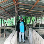 Farmer Nelson Aquino of Palmarito, Monte Cristi in the Dominican Republic stands in his barn after losing his pigs to African swine fever. AFS was first found in that province. His government says thousands of the island nation's 1.9 million pigs will be killed and many smaller farms depopulated in an attempt to control the disease. | Reuters/Ricardo Rojas photo