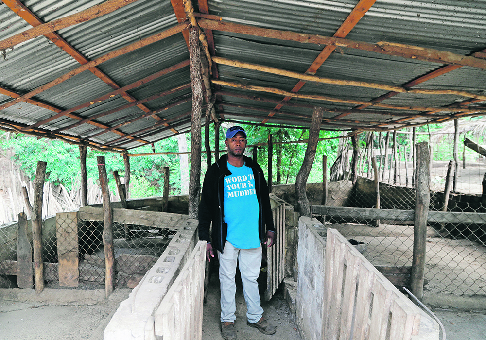Farmer Nelson Aquino of Palmarito, Monte Cristi in the Dominican Republic stands in his barn after losing his pigs to African swine fever. AFS was first found in that province. His government says thousands of the island nation's 1.9 million pigs will be killed and many smaller farms depopulated in an attempt to control the disease.  |  Reuters/Ricardo Rojas photo