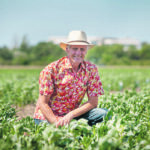 Albert Vandenberg conducts fababean research at the University of Saskatchewan. | Christina Weese photo