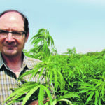 Chris Dzisiak has been growing industrial hemp for about 20 years. But he didn’t grow it this year on his farm, partly because hemp prices are down and canola prices are up. There have been a few bumps in the road, over the last two decades, but Dzisiak remains hopeful about hemp’s future in Canadian agriculture. | Robert Arnason photo