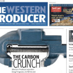 Michelle Houlden, our Art Director and visual journalist, had a banner year with a long list of awards, including her design of this WP cover. | Screencap via producer.com